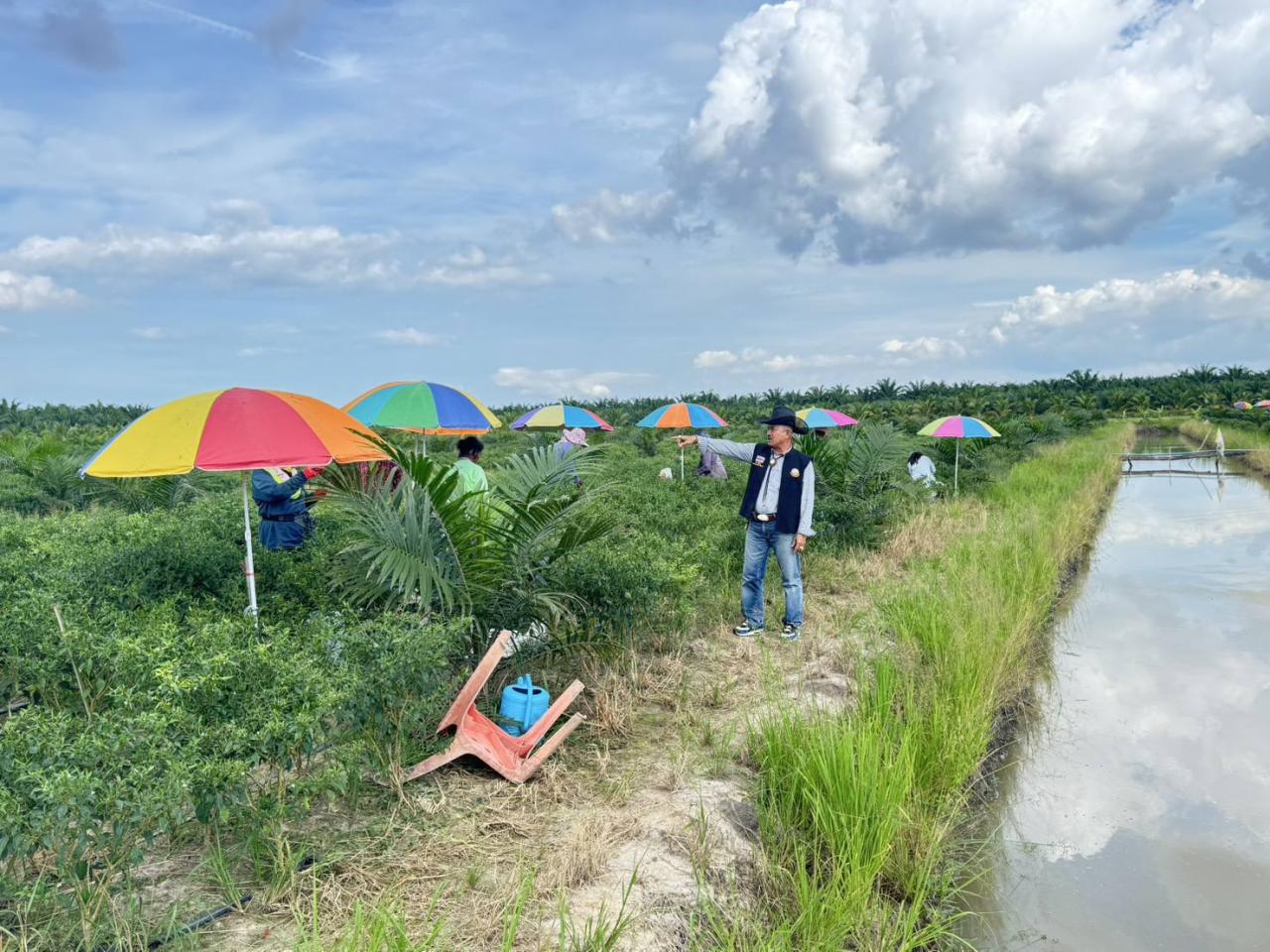 ภาพประกอบที่ 2