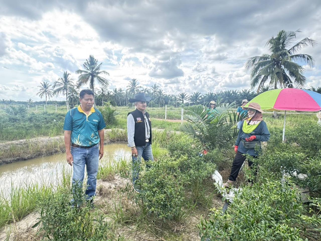 ภาพประกอบที่ 3