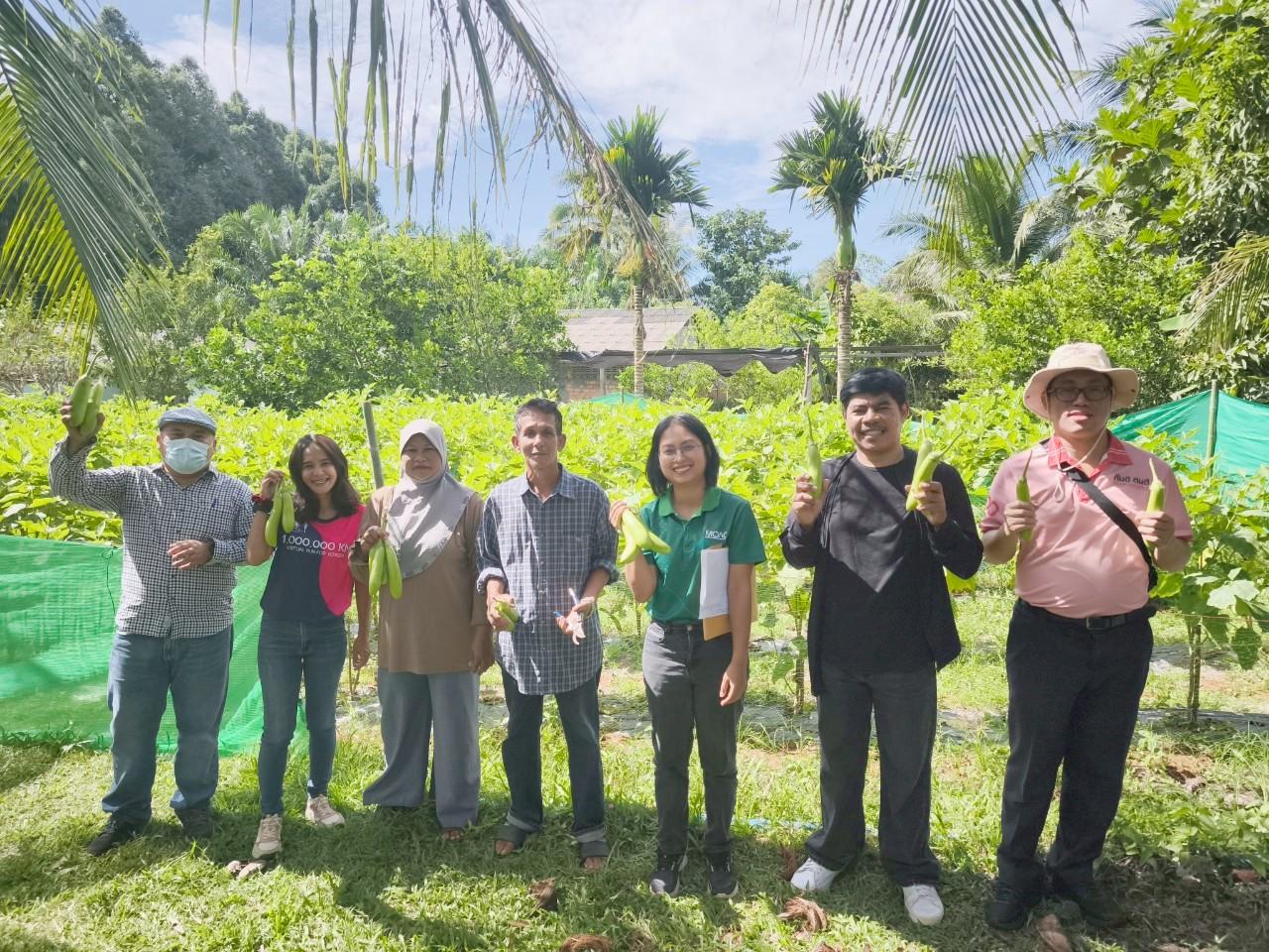 ภาพประกอบที่ 3