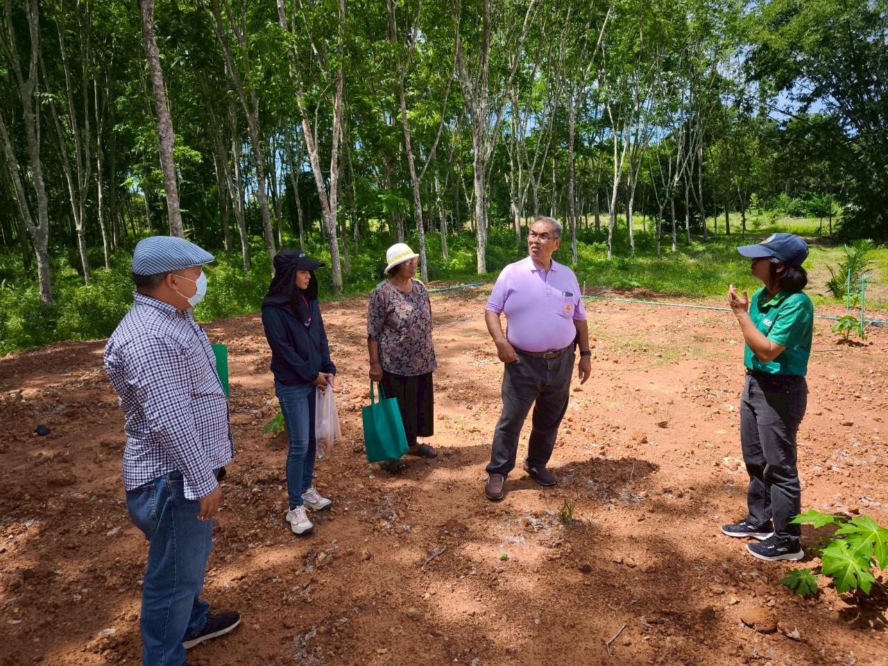 ภาพประกอบที่ 7