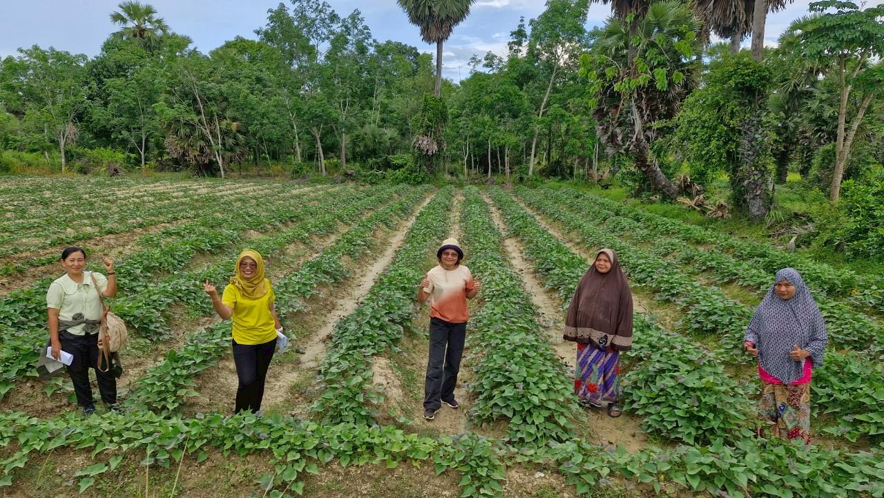 ภาพประกอบที่ 3