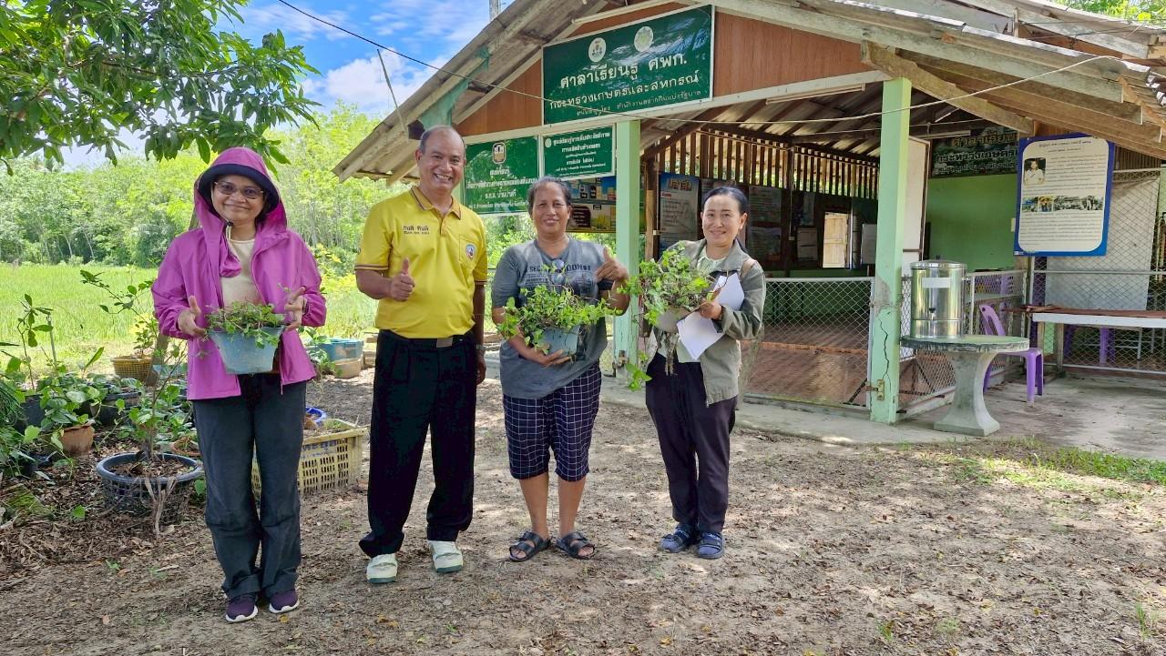 ภาพประกอบที่ 10