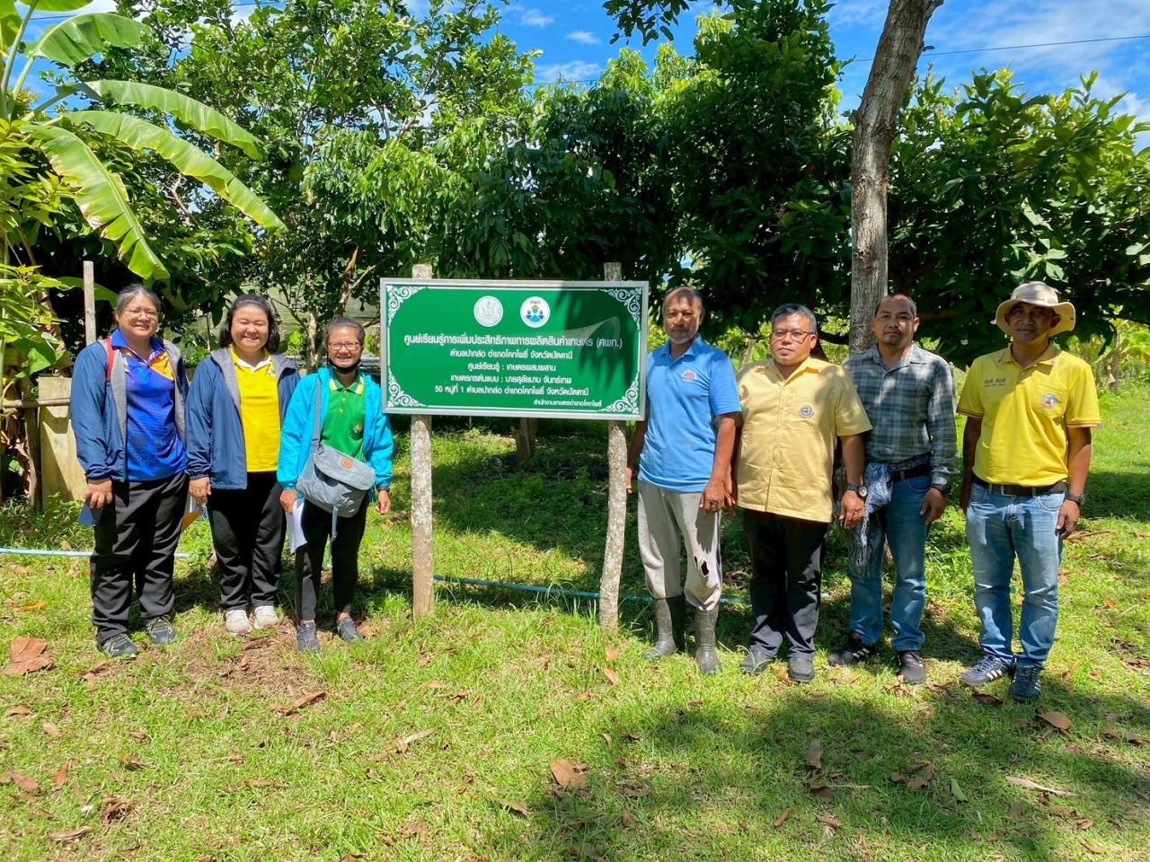 ภาพประกอบที่ 11