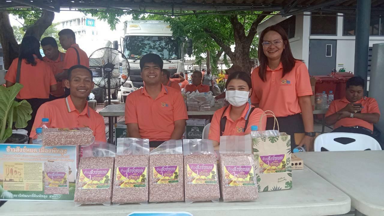 ภาพประกอบที่ 7