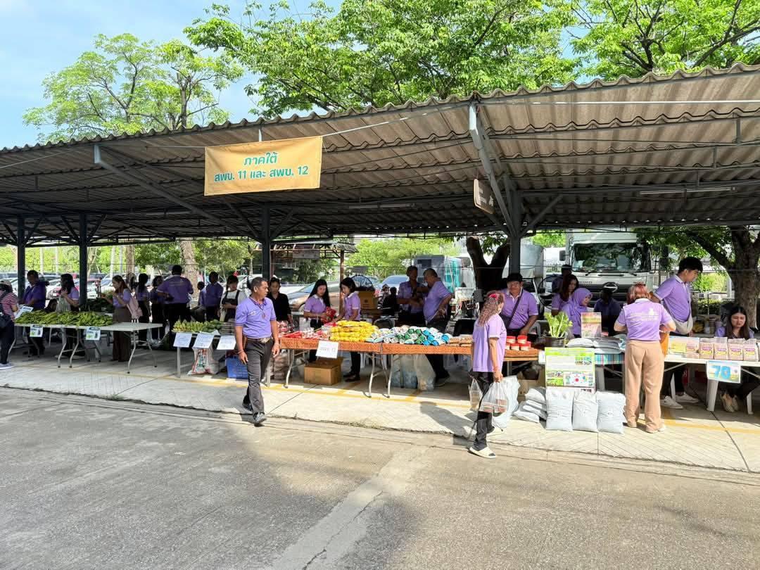 ภาพประกอบที่ 12