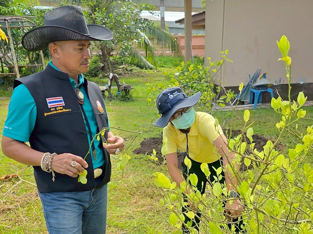 ภาพประกอบที่ 0