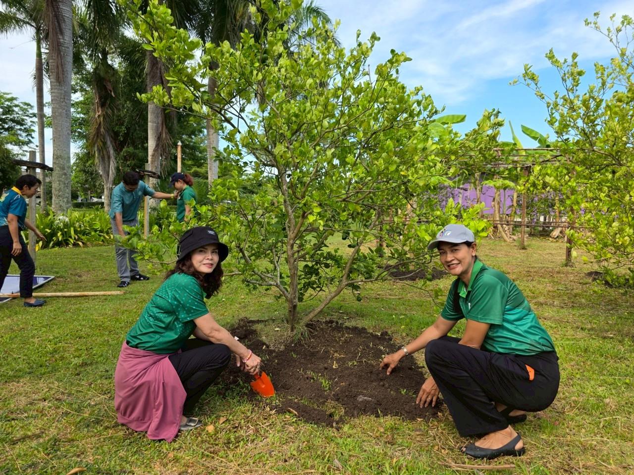 ภาพประกอบที่ 3
