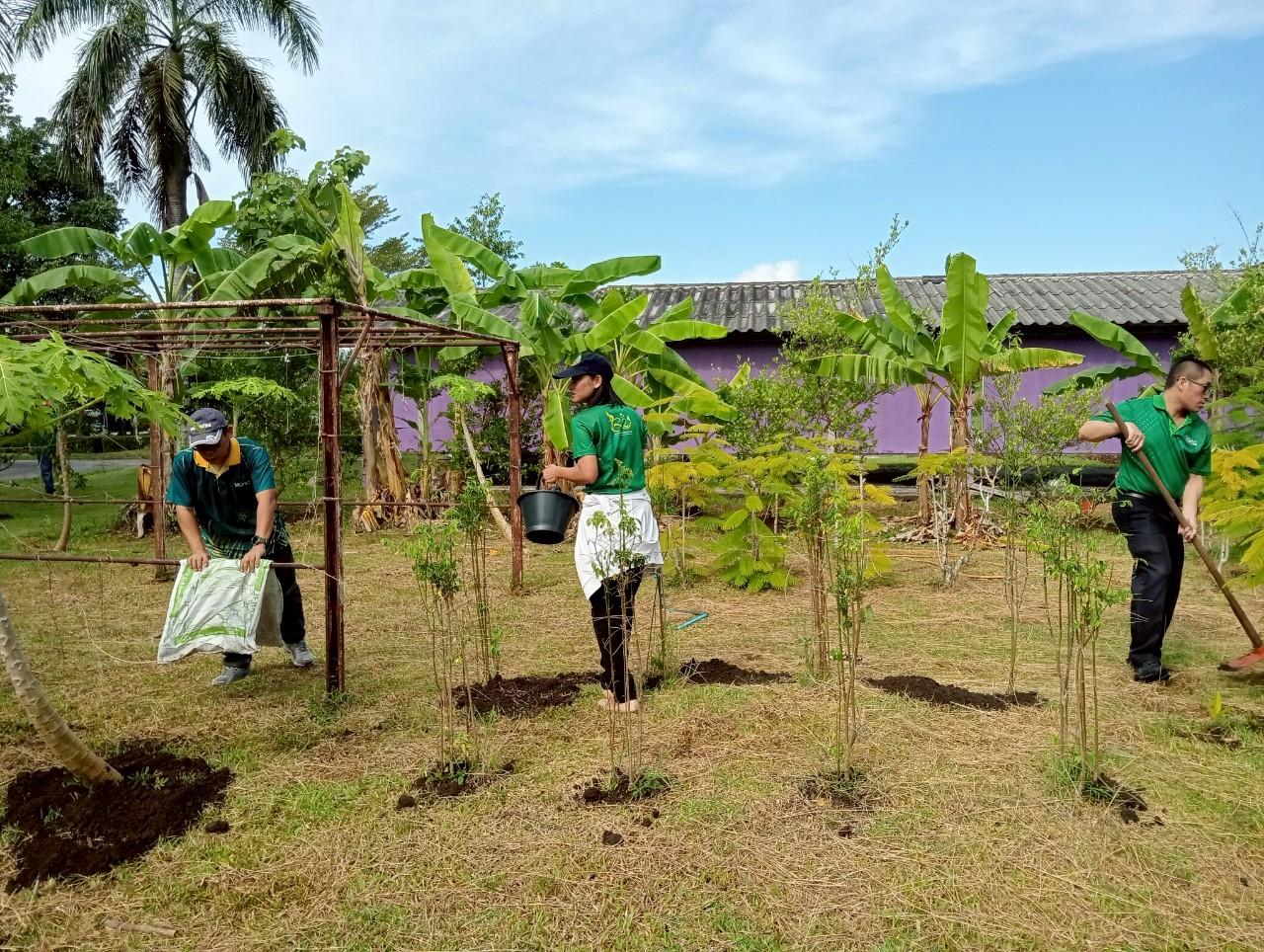 ภาพประกอบที่ 6