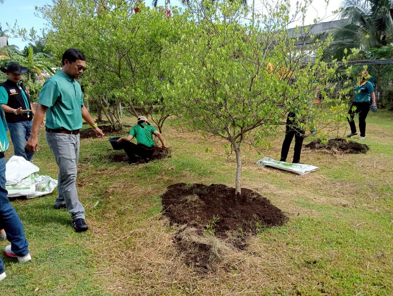 ภาพประกอบที่ 7