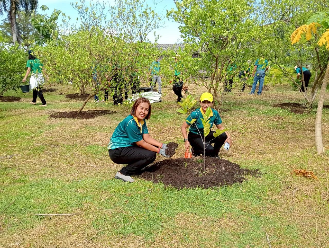 ภาพประกอบที่ 8
