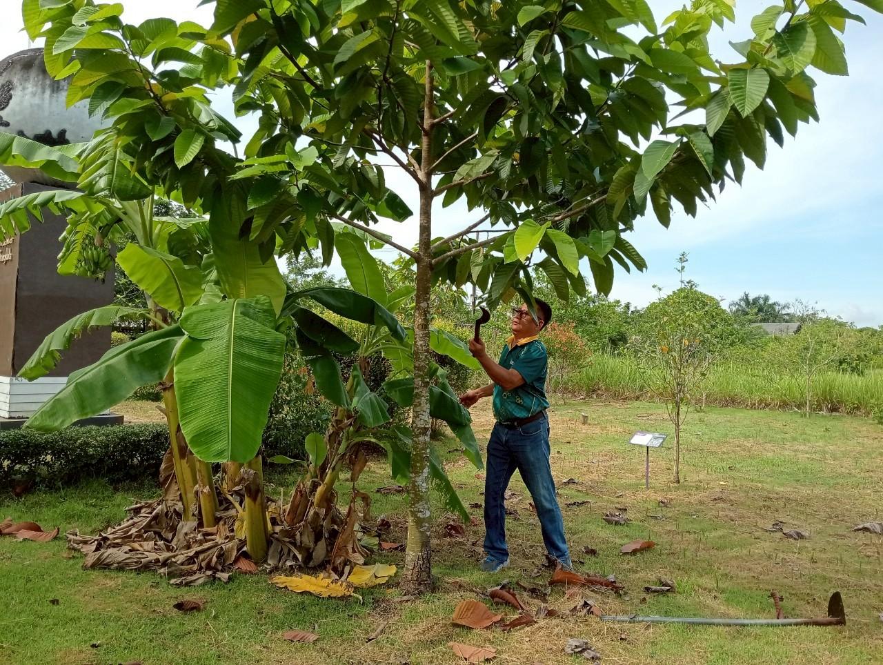ภาพประกอบที่ 9