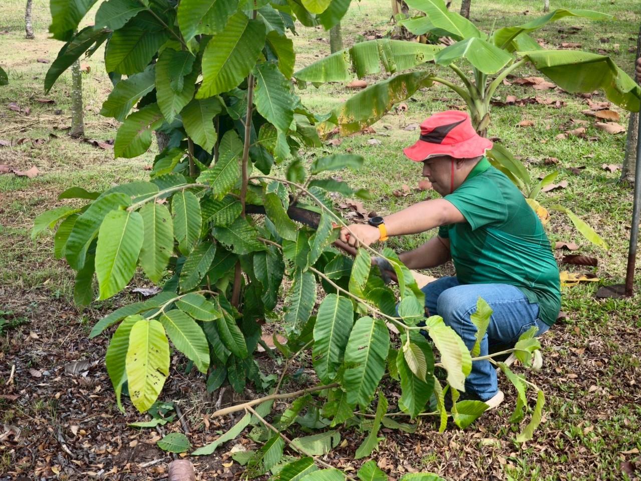 ภาพประกอบที่ 10