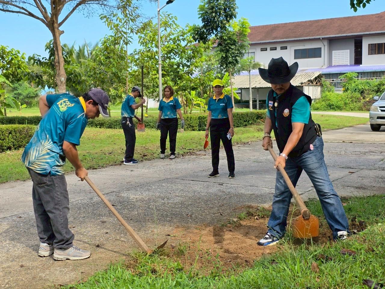 ภาพประกอบที่ 11