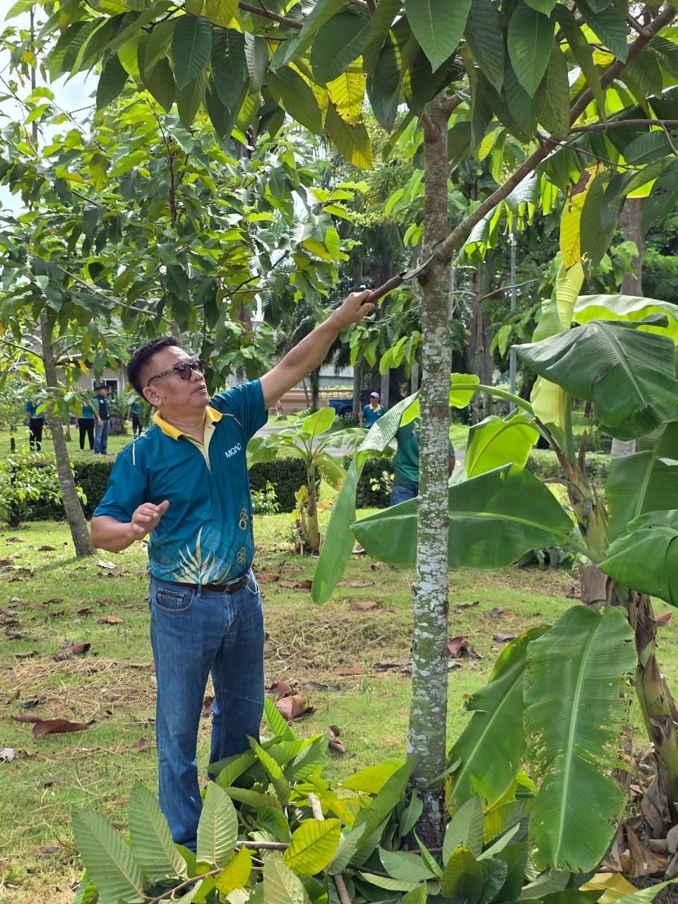 ภาพประกอบที่ 12