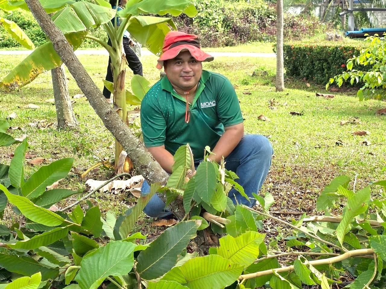 ภาพประกอบที่ 13