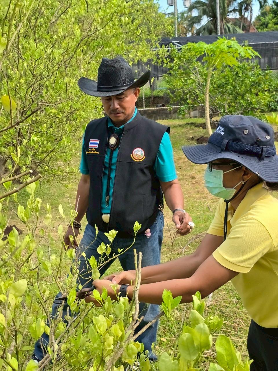 ภาพประกอบที่ 14