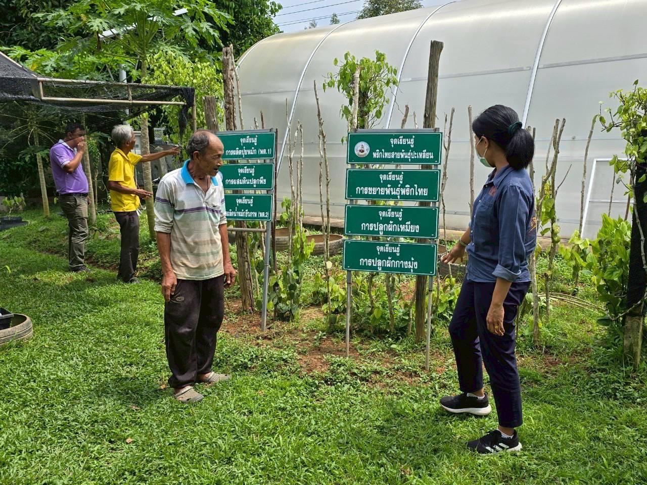 ภาพประกอบที่ 8