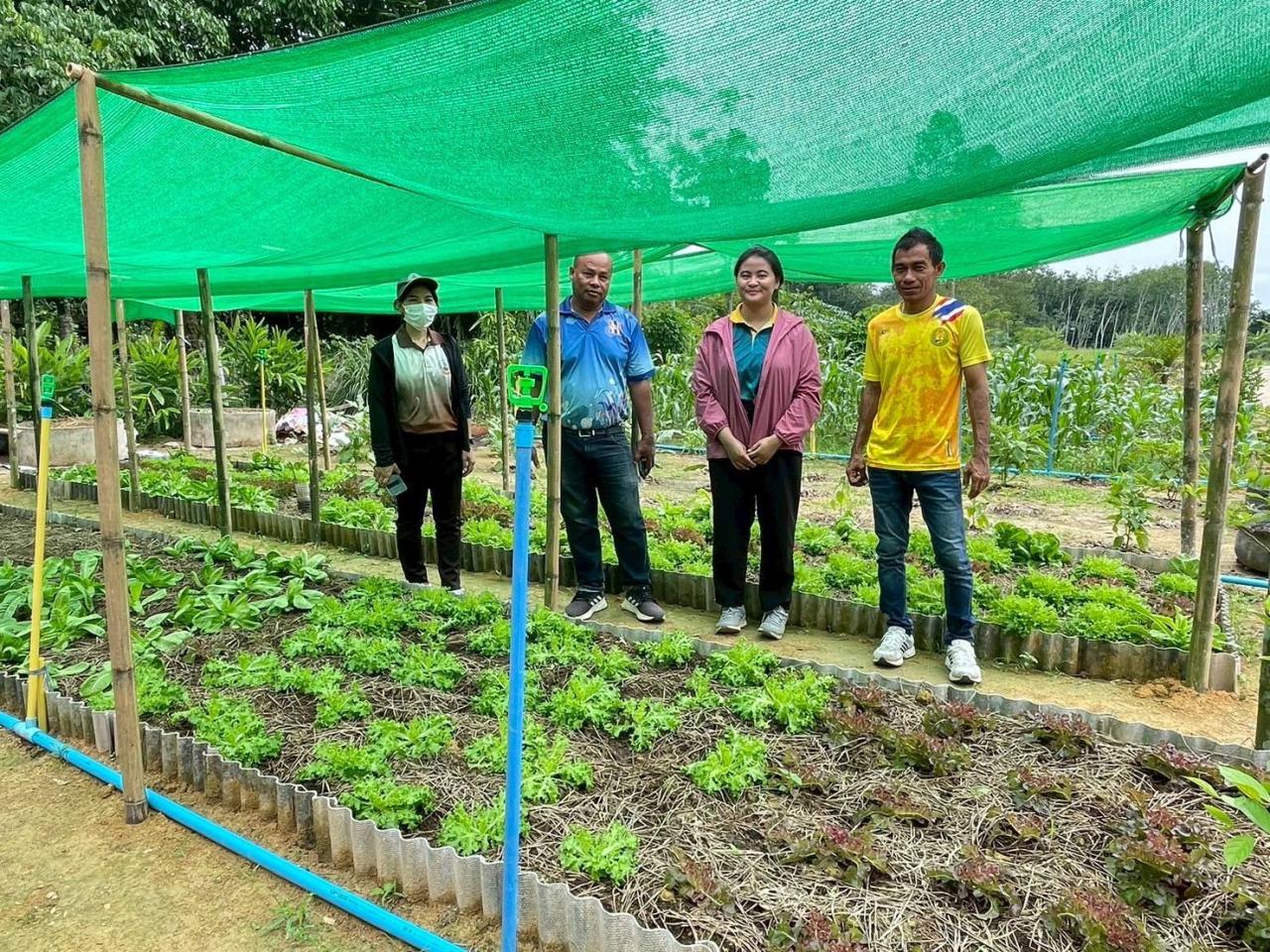 ภาพประกอบที่ 14