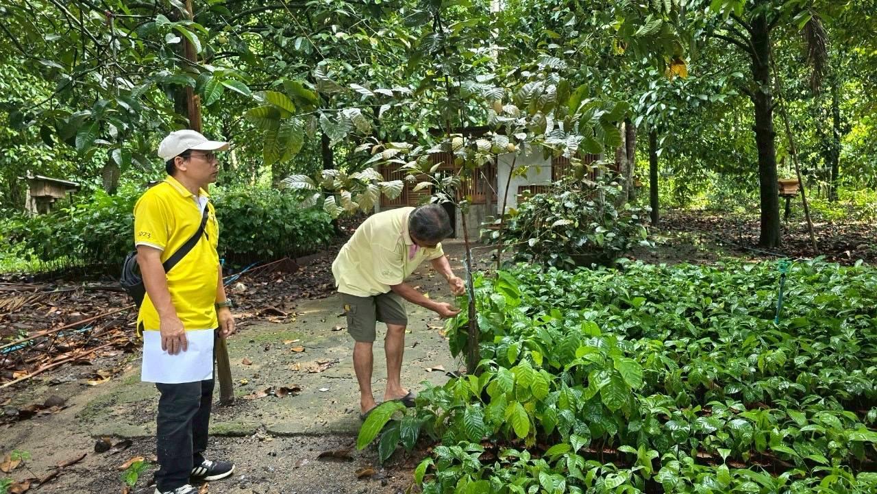 ภาพประกอบที่ 15