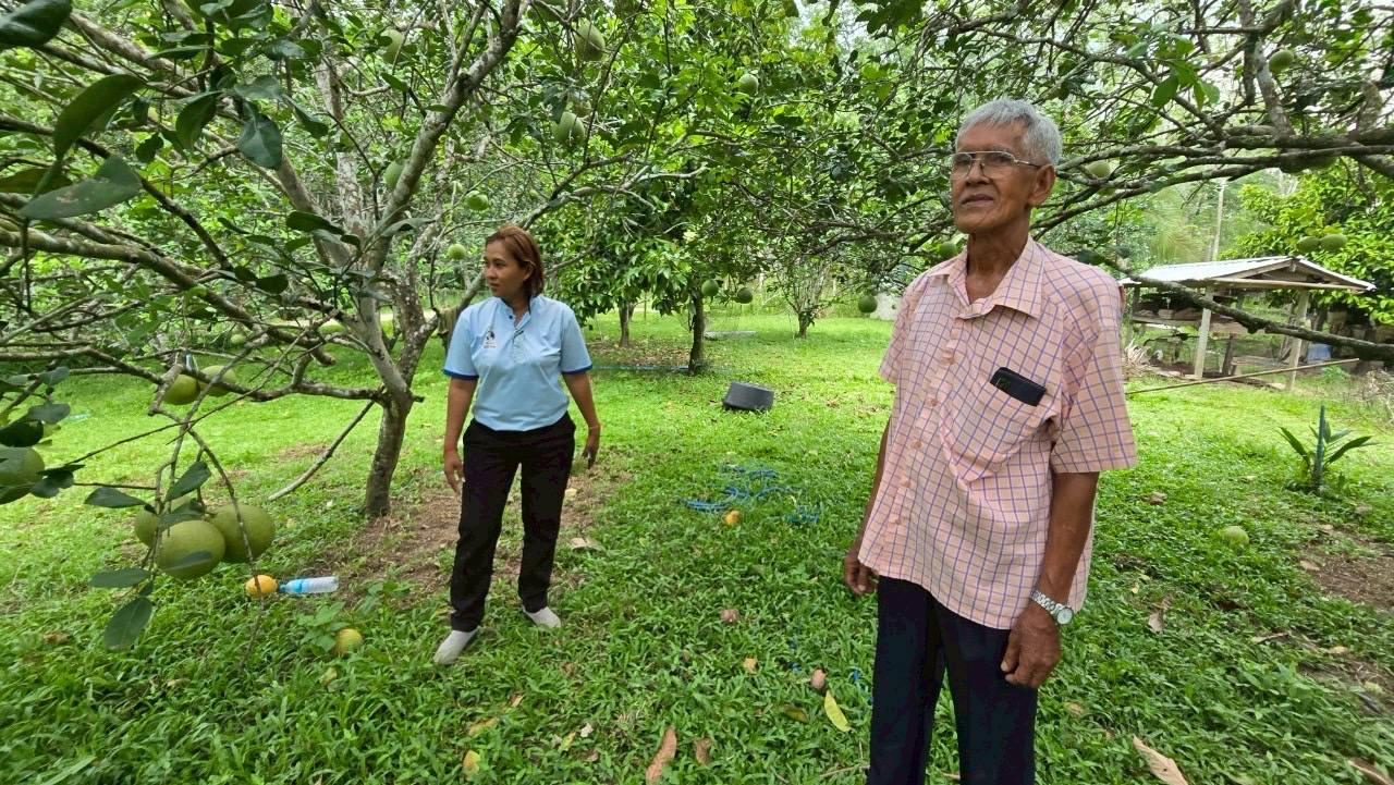 ภาพประกอบที่ 16