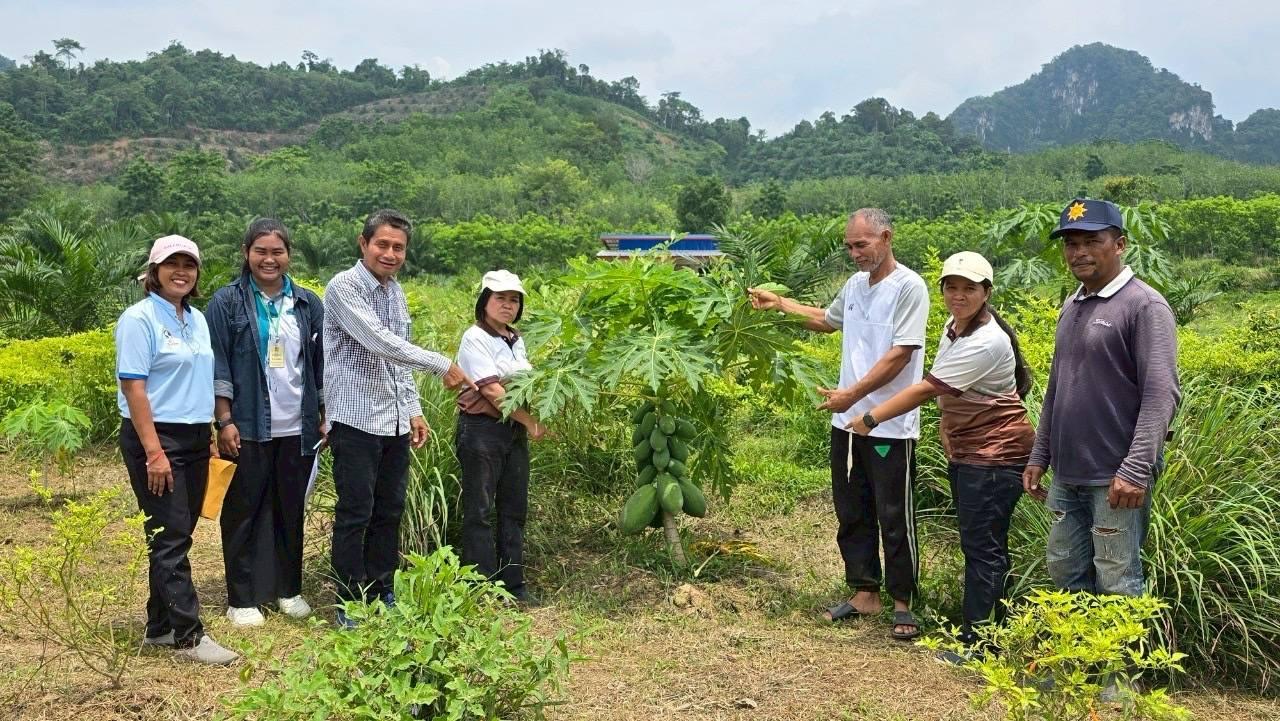 ภาพประกอบที่ 20