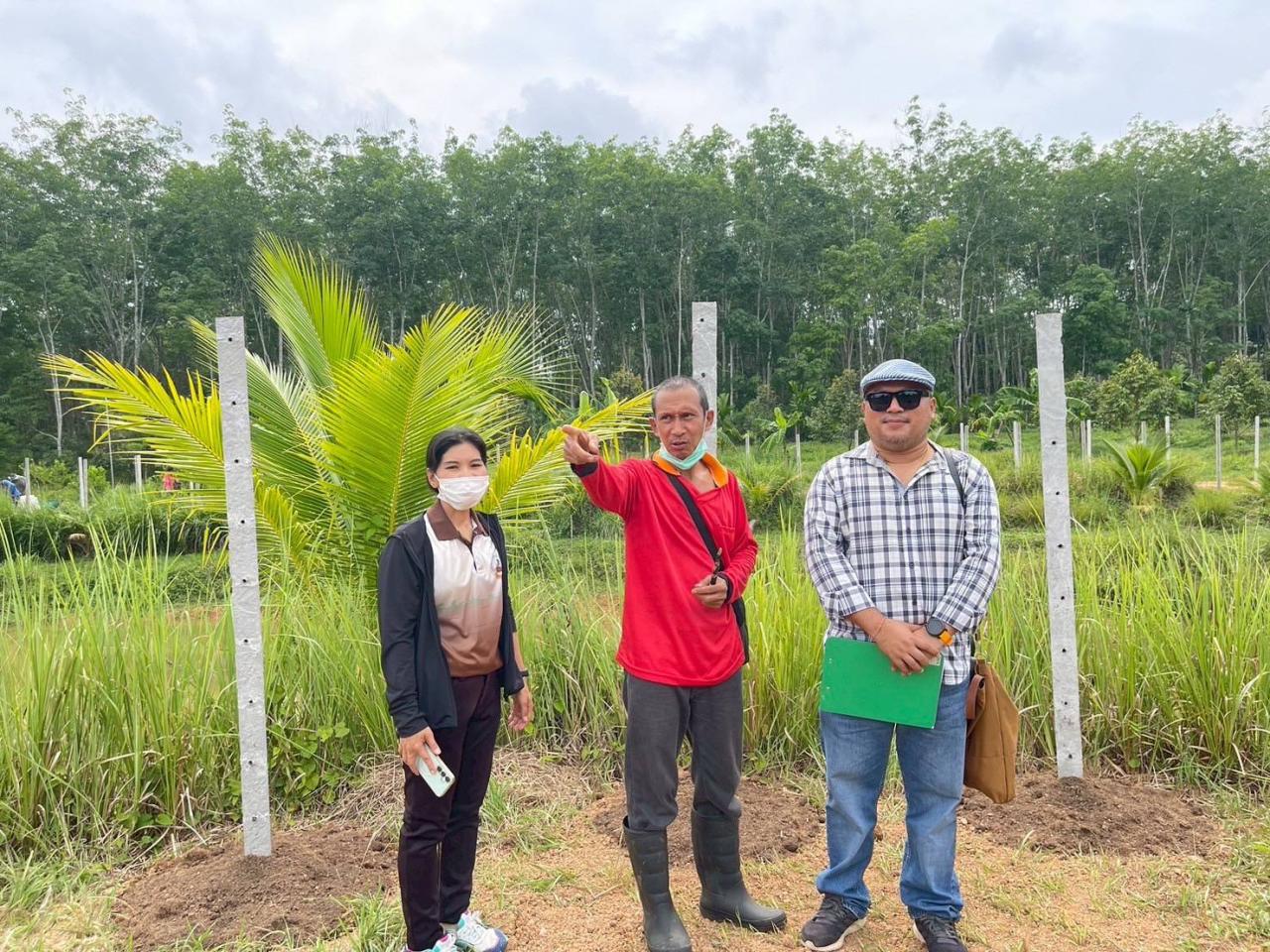 ภาพประกอบที่ 21