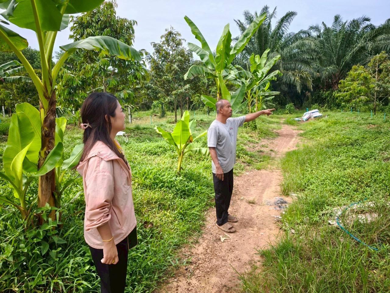 ภาพประกอบที่ 11