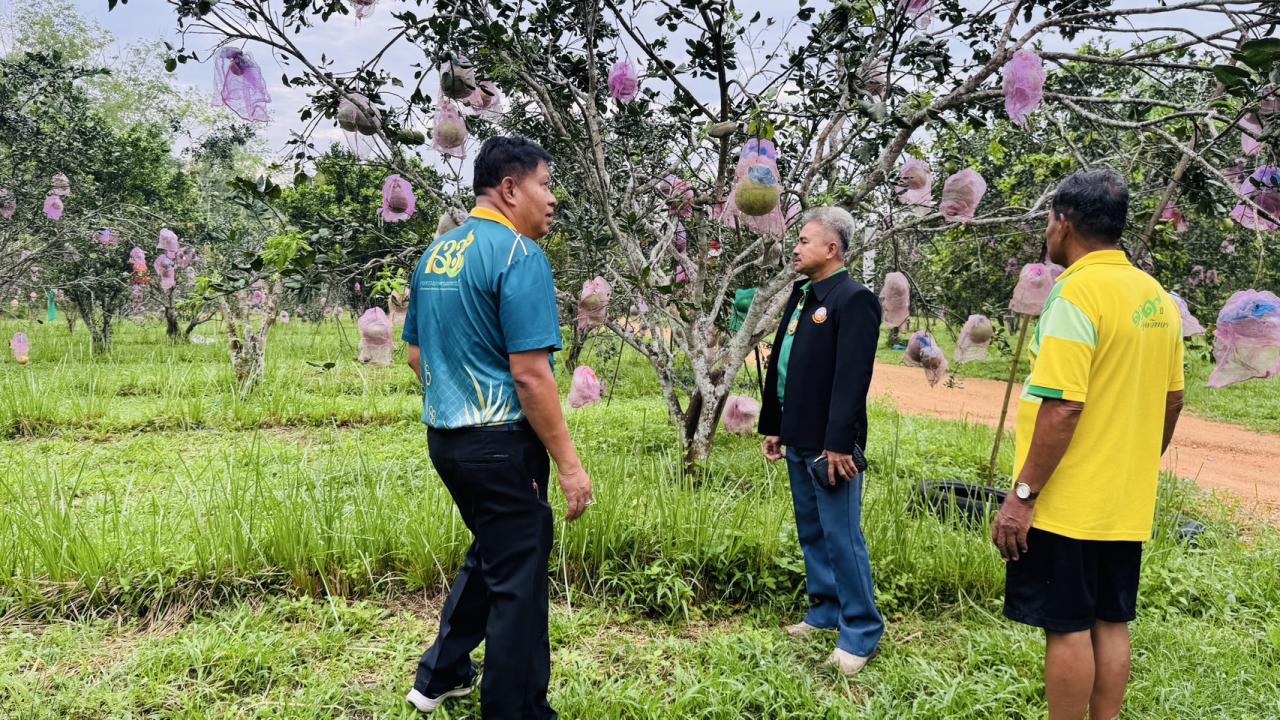 ภาพประกอบที่ 1