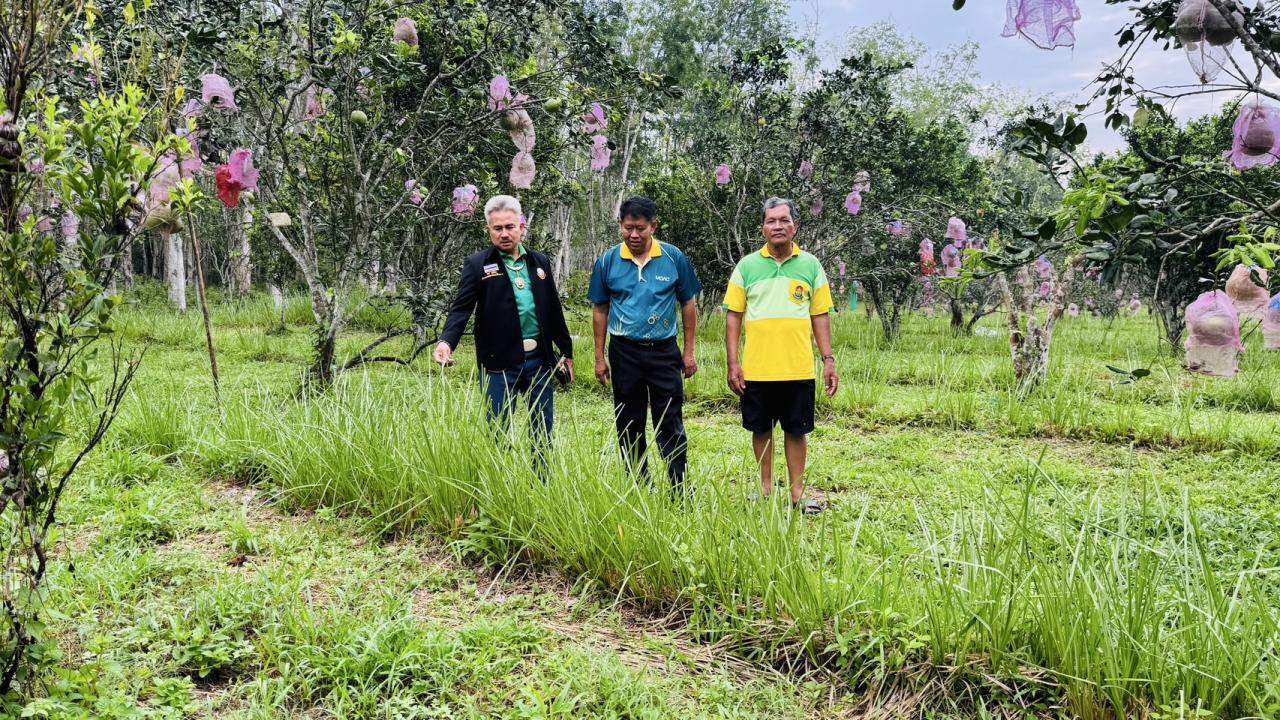 ภาพประกอบที่ 2