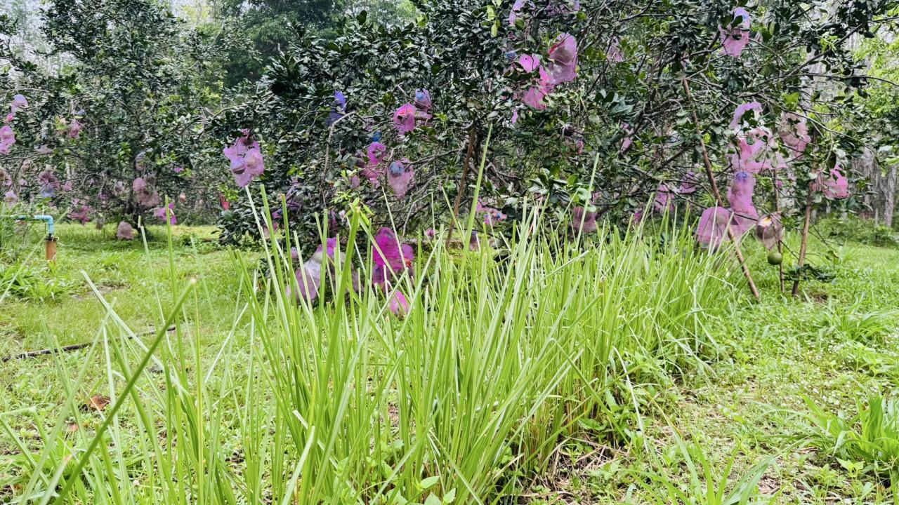 ภาพประกอบที่ 3