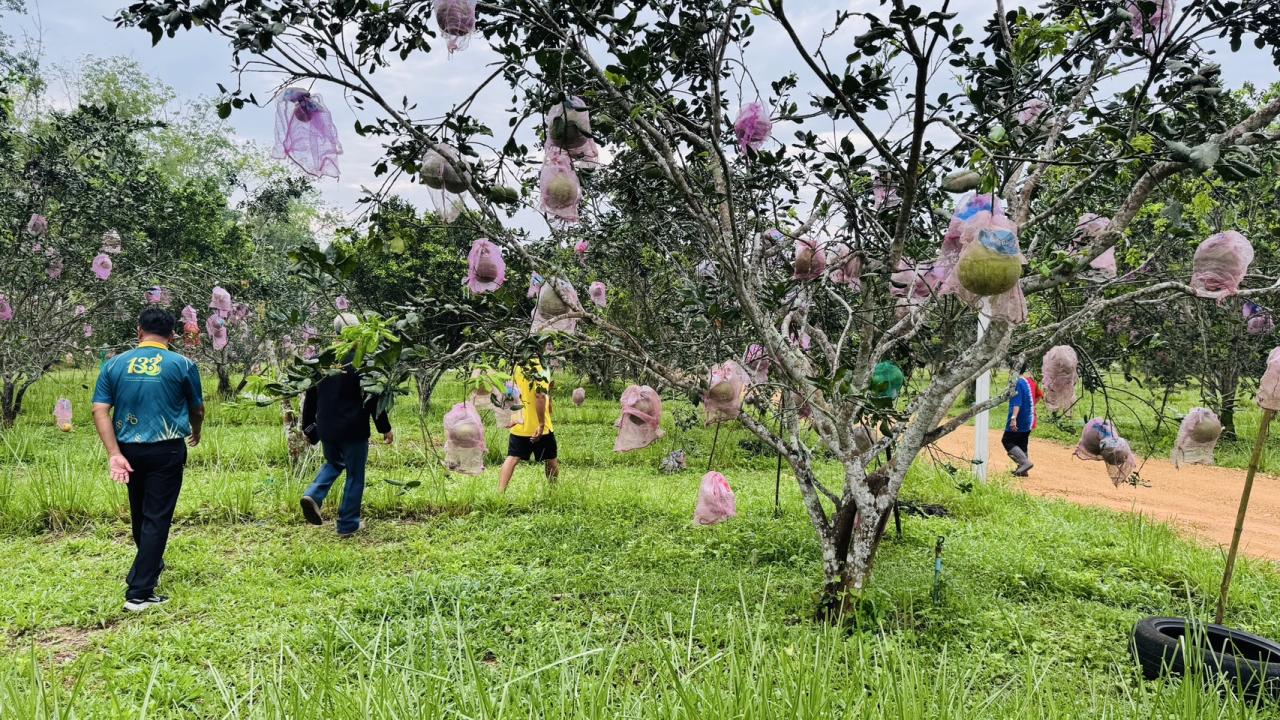 ภาพประกอบที่ 4
