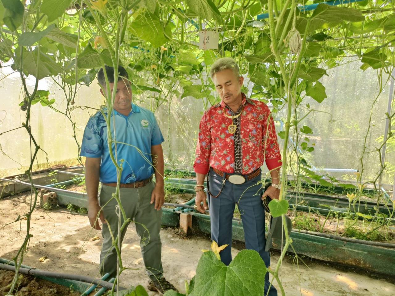 ภาพประกอบที่ 5