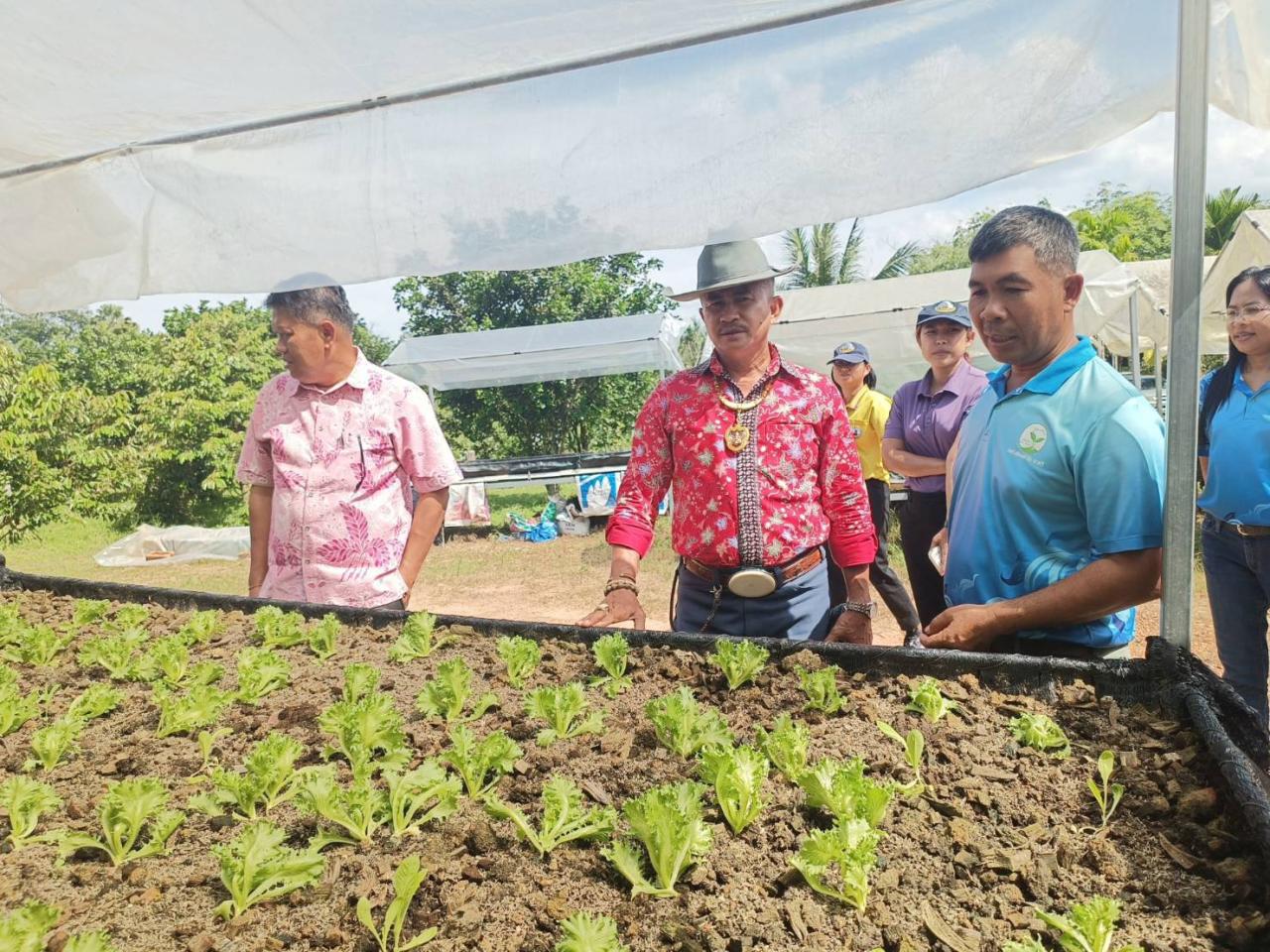 ภาพประกอบที่ 6