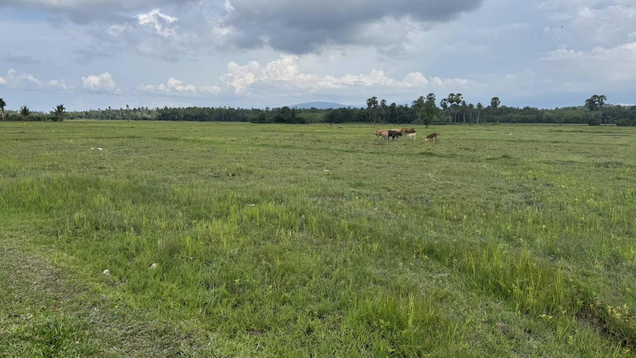 ภาพประกอบที่ 6