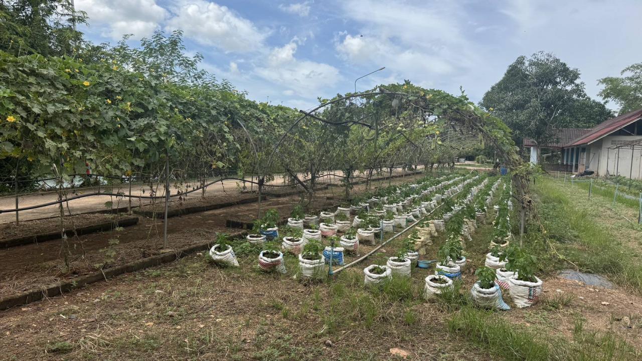 ภาพประกอบที่ 0