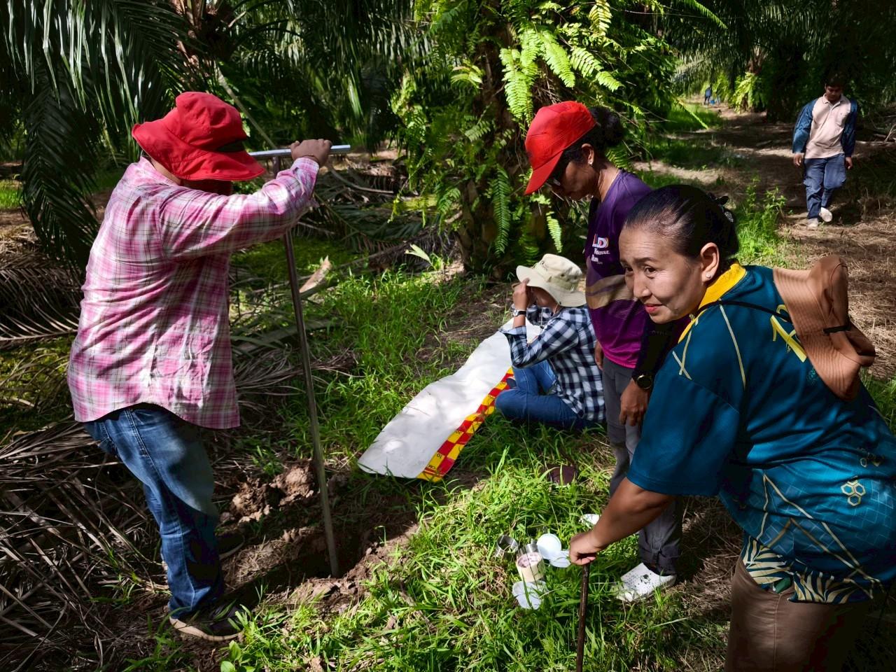 ภาพประกอบที่ 1
