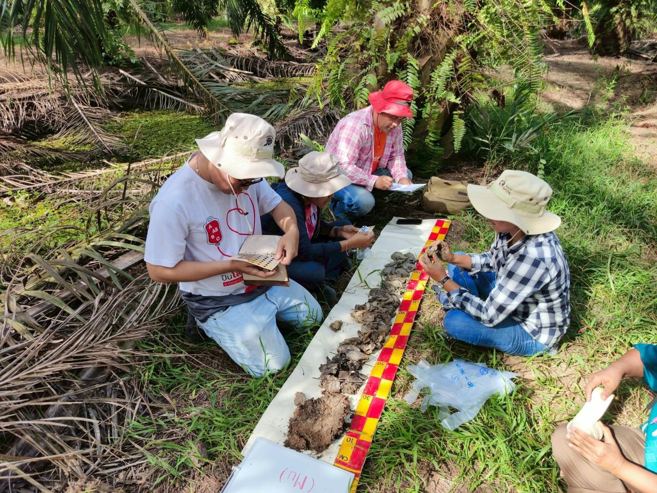 ภาพประกอบที่ 2