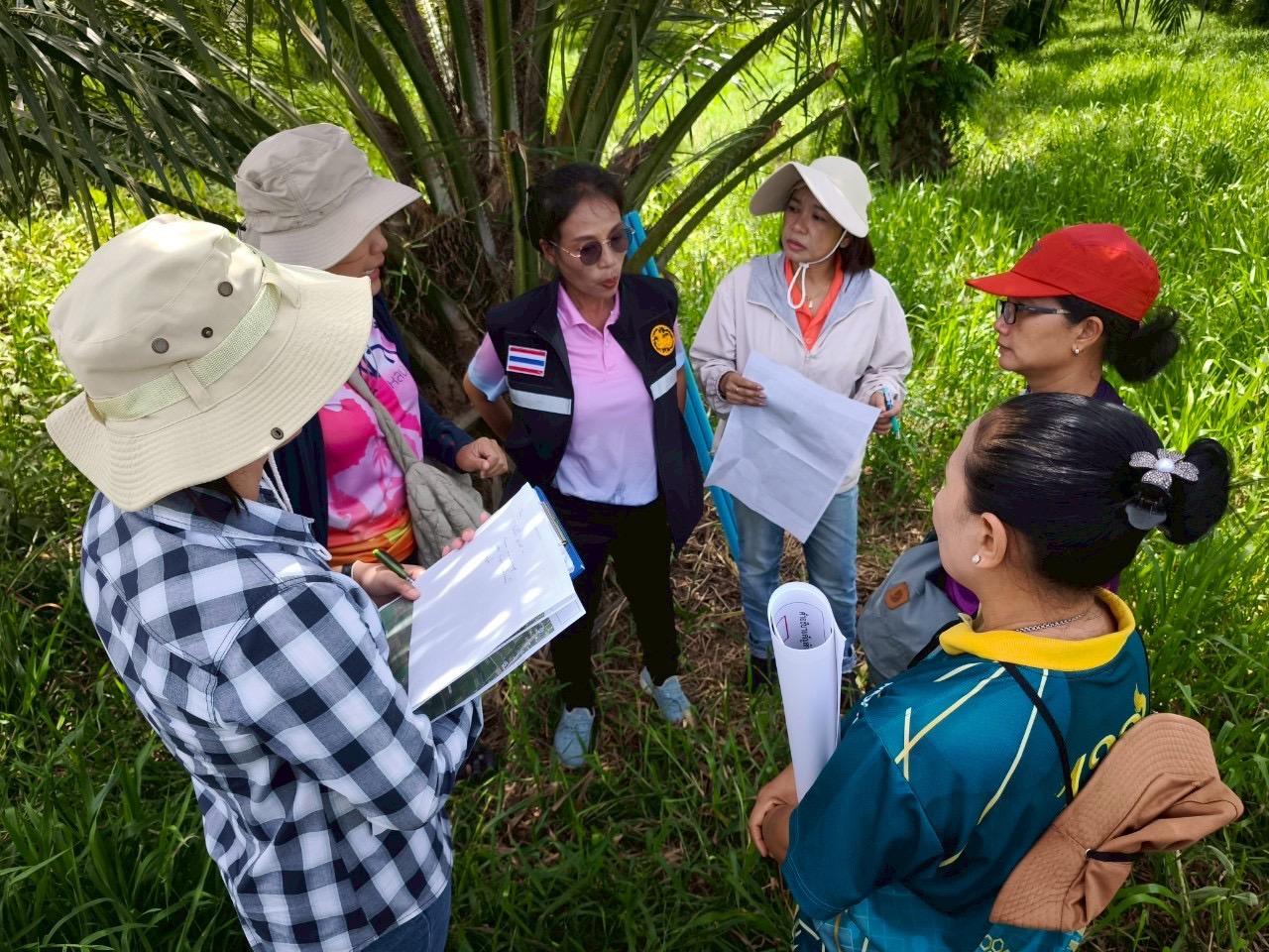 ภาพประกอบที่ 5