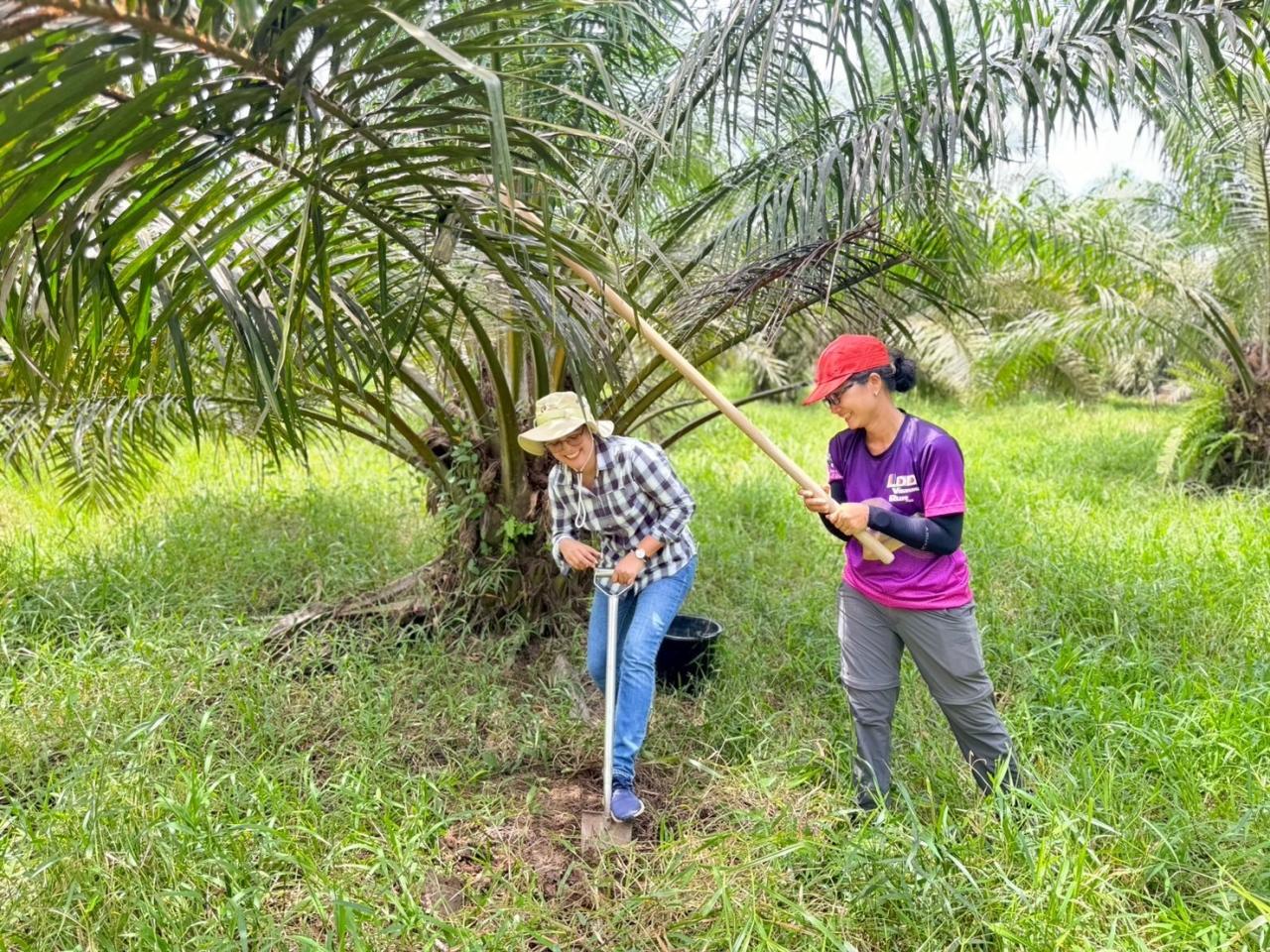 ภาพประกอบที่ 6