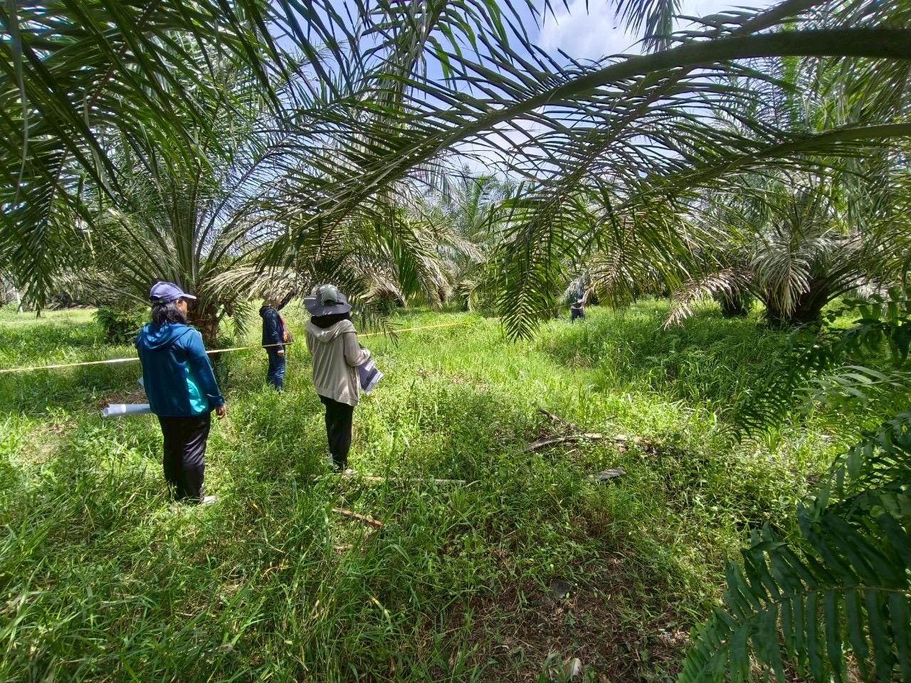 ภาพประกอบที่ 7