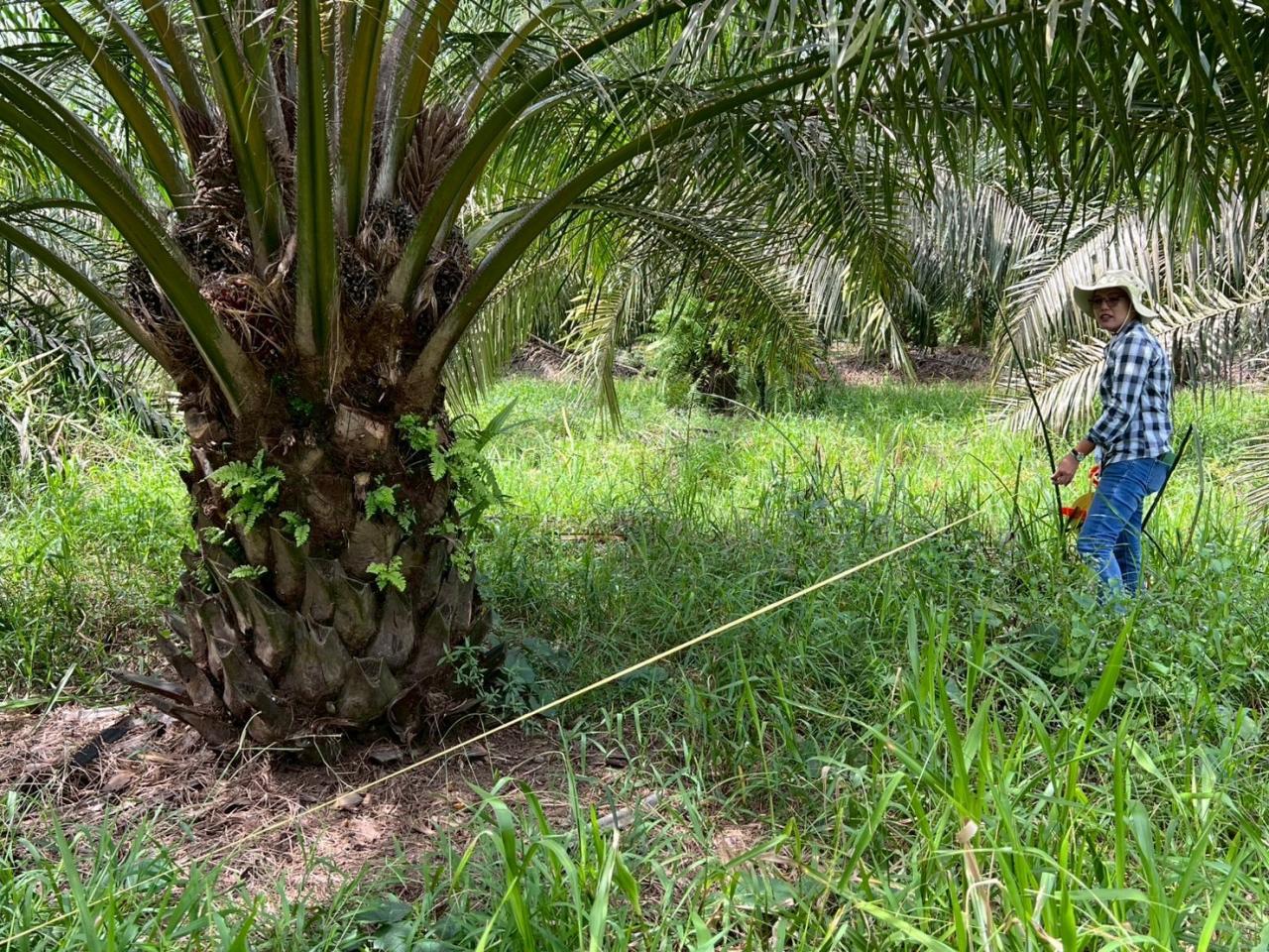 ภาพประกอบที่ 8