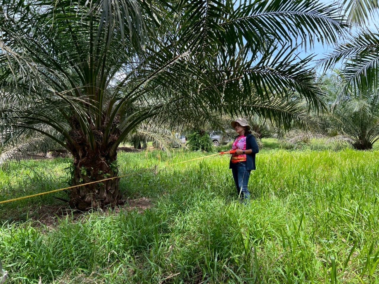 ภาพประกอบที่ 9