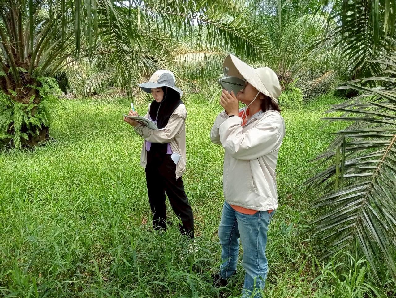ภาพประกอบที่ 10