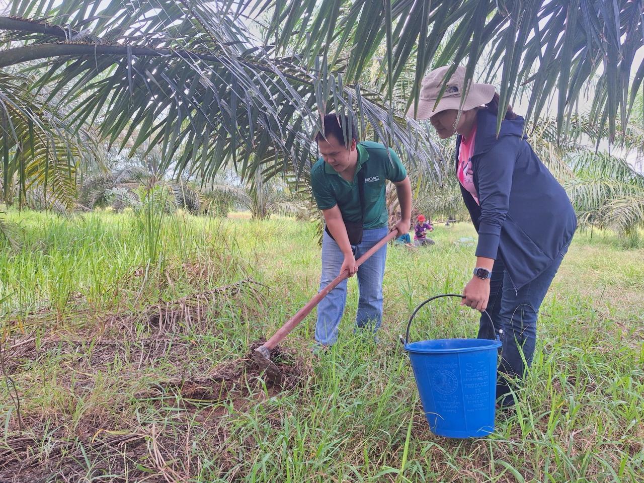 ภาพประกอบที่ 11