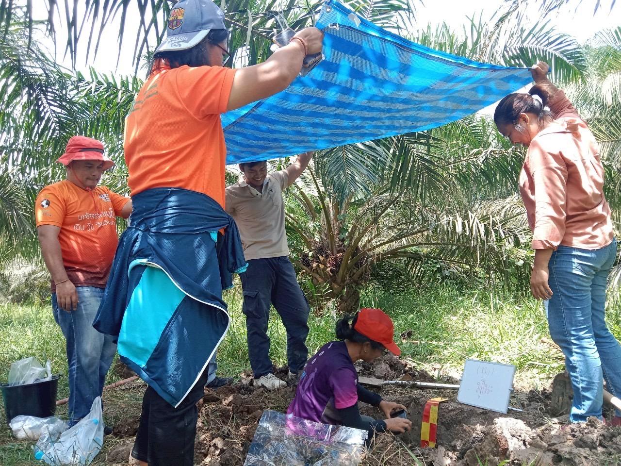 ภาพประกอบที่ 12