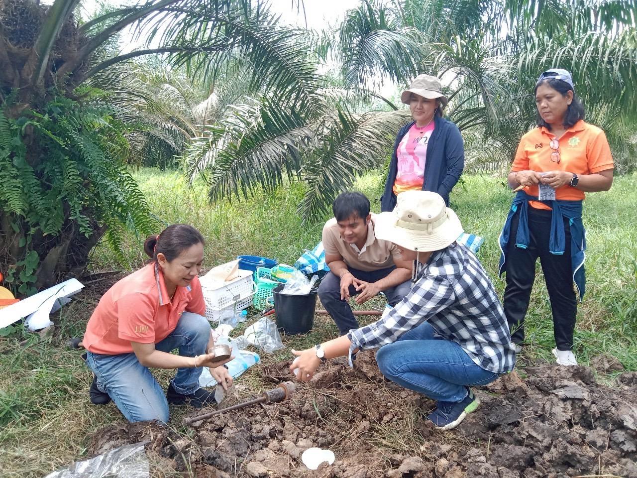 ภาพประกอบที่ 13