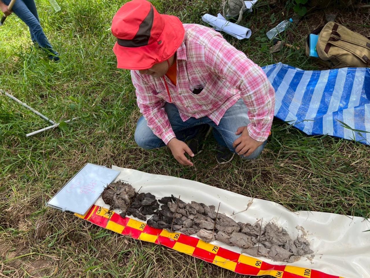 ภาพประกอบที่ 15