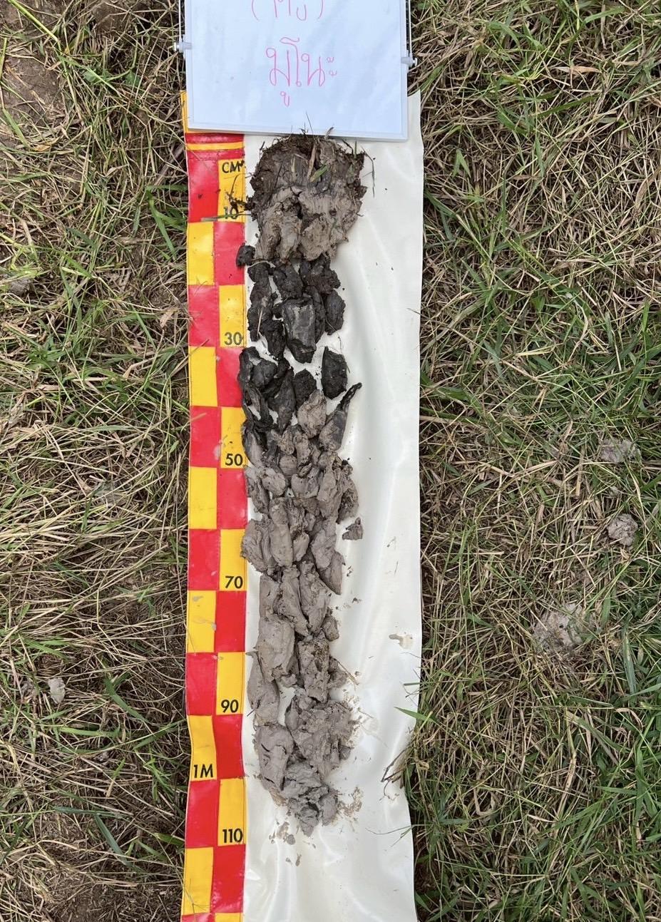 ภาพประกอบที่ 17