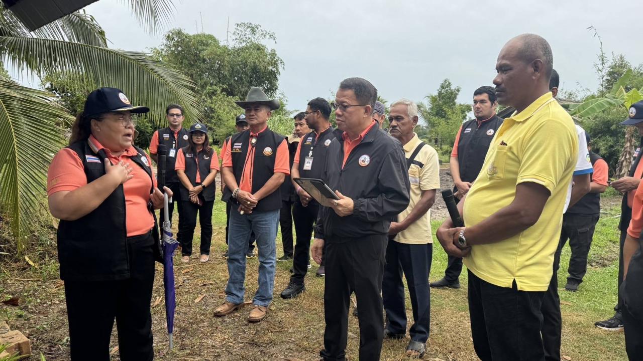 ภาพประกอบที่ 0