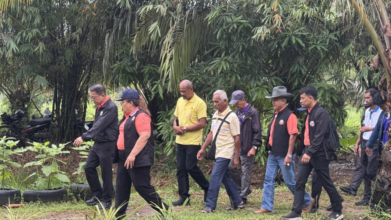 ภาพประกอบที่ 1